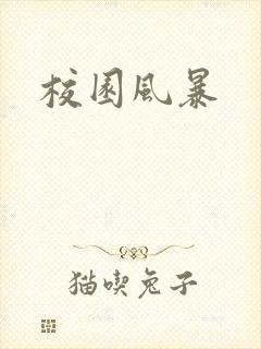 校园风暴