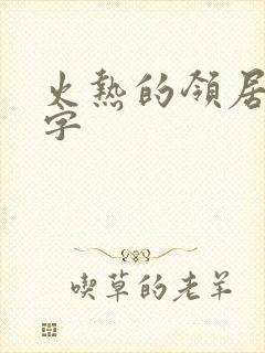火热的领居中文字