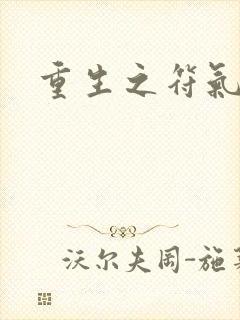 重生之符气冲天