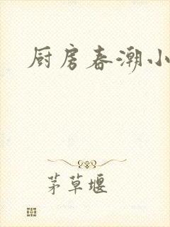 厨房春潮小说