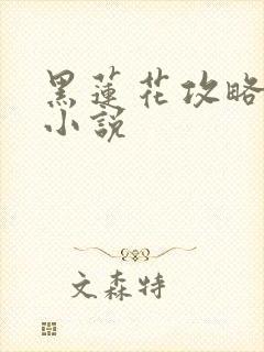 黑莲花攻略手册小说