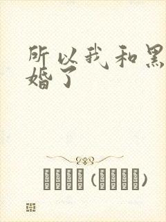 所以我和黑粉结婚了
