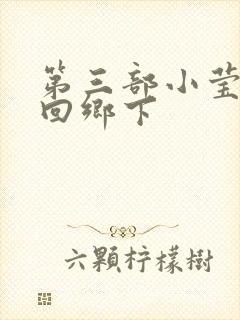 第三部小莹乱翁回乡下