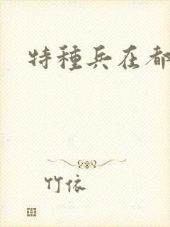 特种兵在都市