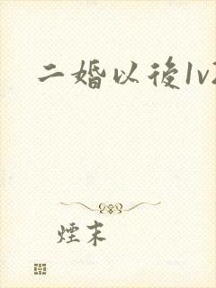 二婚以后1v2