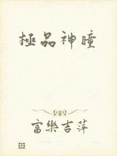 极品神瞳