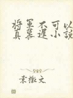 将军不可以魏云真慕迟小说笔趣阁