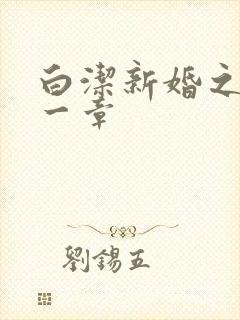 白洁新婚之夜第一章