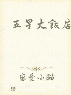 五星大饭店小说