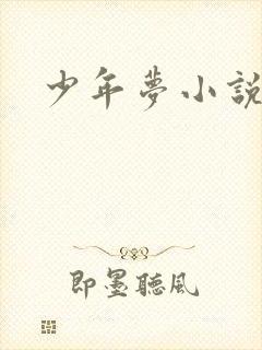 少年梦小说