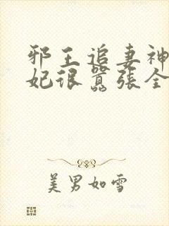 邪王追妻神医狂妃很嚣张全文免费