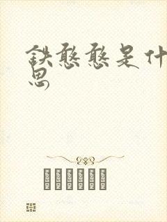 铁憨憨是什么意思