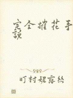 完全摧花手册小说