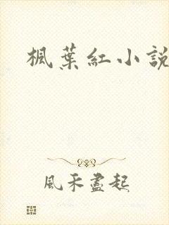 枫叶红小说