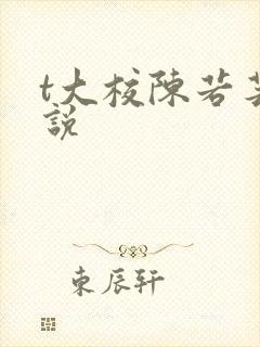 t大校陈若芸小说