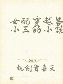 女配穿越各个做小三的小说