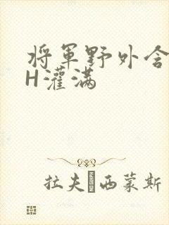 将军野外含公主H灌满