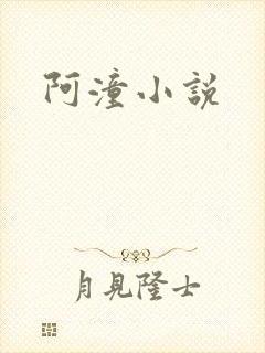 阿潼小说