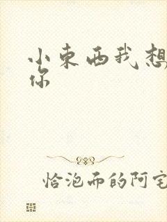 小东西我想弄坏你