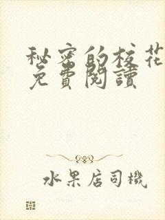 秘密的校花小说免费阅读