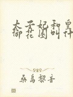 太子妃和皇帝在御花园叫什么小说