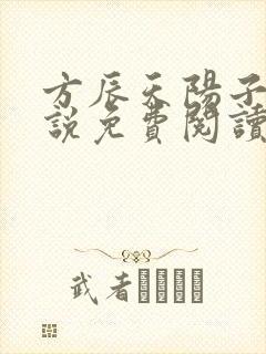 方辰天阳子的小说免费阅读