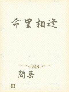 命里相逢