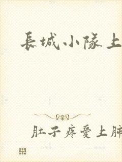 长城小队上中下