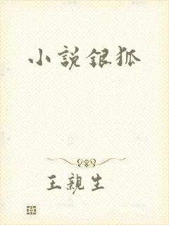 小说银狐