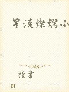 星汉灿烂小说