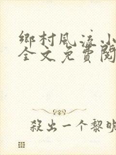 乡村风流小傻子全文免费阅读