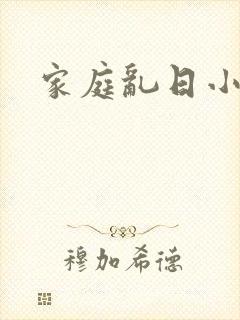 家庭乱日小说