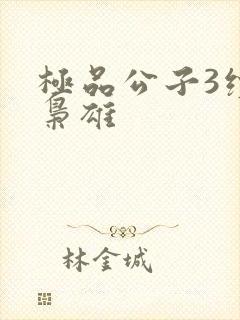 极品公子3续世枭雄