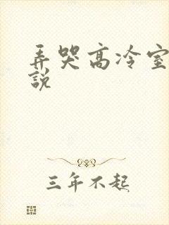 弄哭高冷室友小说