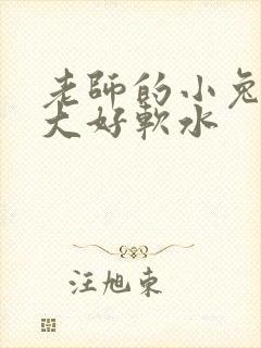 老师的小兔子好大好软水