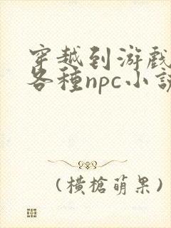 穿越到游戏里和各种npc小说