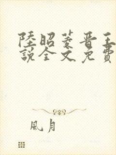 陆昭菱晋王的小说全文免费阅读