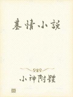 基情小说