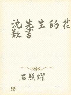 沈先生的花式调数书