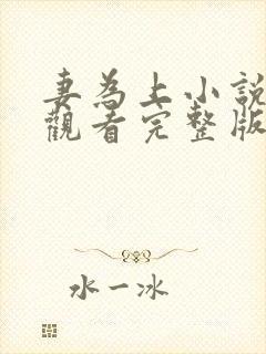 妻为上小说免费观看完整版笔趣阁