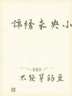 锦绣未央小说