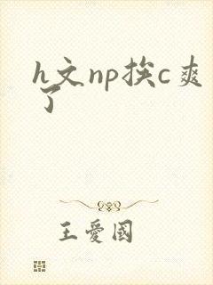 h文np挨c爽了