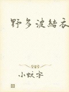 野多波结衣
