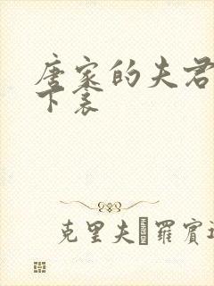 唐家的夫君们帘下衾