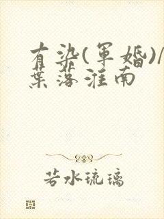 有染(军婚)/叶落淮南