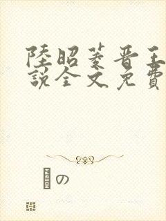 陆昭菱晋王的小说全文免费阅读