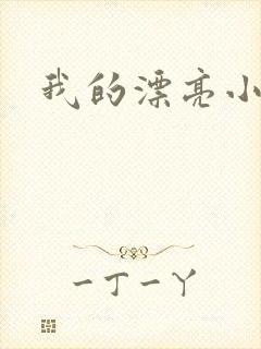 我的漂亮小后妈