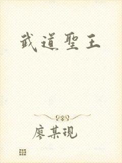 武道圣王