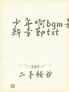 少年啊bgm最新章节txt