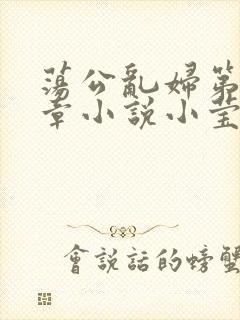 荡公乱妇第51章小说小莹